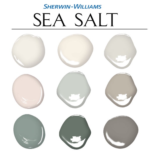 Sea Salt Sherwin Williams Paint Colors Etsy