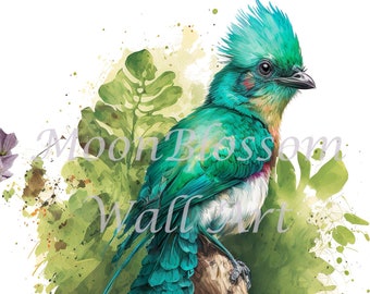 ケツァールの鳥の絵画 鳥の水彩画 アートプリント 赤 緑の鳥 壁アート