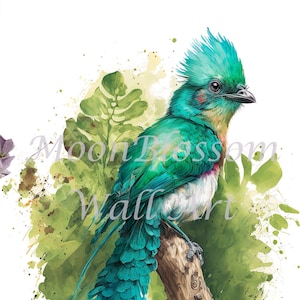 Art resplendissant Quetzal imprimable / Quetzal / Décor aquarelle / Décor d’oiseau / Art mural d’oiseau / IMPRIMABLE