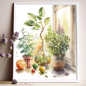 Plants by the window wall art, plants art print