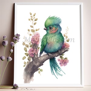 Art exotique quetzal imprimable, gravure murale quetzal