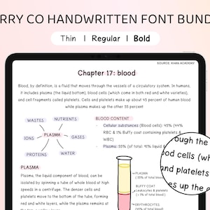 Berry Co handgeschriebene Schriftart für digitale Notizen und digitale Planung, niedliche handgeschriebene Schriftart für Goodnotes, Notability