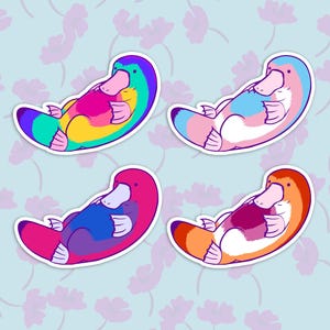 May include: Four colorful platypus stickers with white outlines. Each platypus is curled up in a sleeping position and has a different color scheme: rainbow, transgender pride, bisexual pride, and lesbian pride.