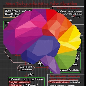 May include: A flowchart diagram on a black chalkboard with a purple, red, orange, yellow, and green geometric shape in the center. The flowchart shows a decision tree for treating sinus tachycardia with a pulse. The text includes the terms "Wide QRS?", "IV access", "Vagal maneuvers", "Adenosine", "Beta blocker", "Procainamide", "Amiodarone", and "Sotalol".