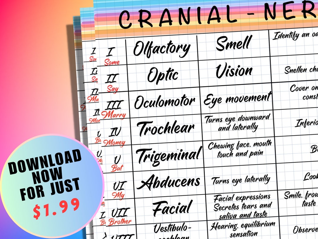 Master Cranial Nerves With BONUS MNEMONIC, Medic Notes, Anatomy and ...