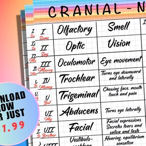 Puede incluir: Un gráfico colorido con los nombres de los 12 nervios craneales y sus funciones. El gráfico está sobre un fondo de cuadrícula e incluye números romanos y nemotécnicos para cada nervio. El gráfico está titulado "Cranial-Nerves".
