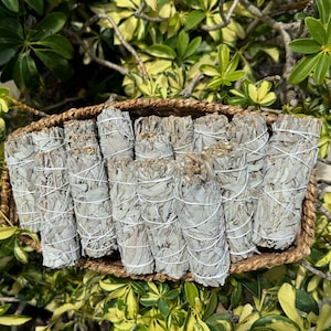 Premium White Sage Smudge Sticks Bulk Wholesale Packs 4&quot; White Sage Sage Bundle, Smudge Stick