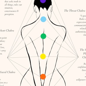 May include: Diagram of the seven chakras, or energy centers, of the human body. The chakras are represented by colored circles along the spine, starting with the root chakra at the base of the spine and ending with the crown chakra at the top of the head. Each chakra is associated with a different color, element, and function.