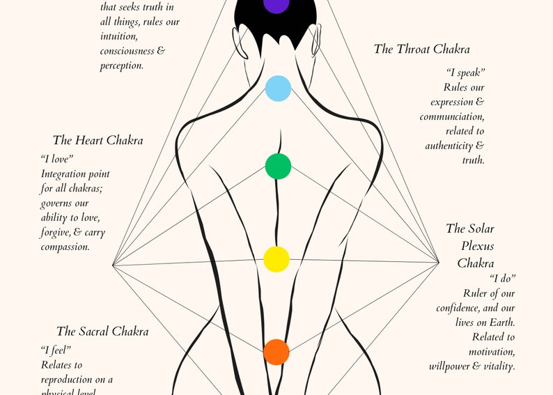 May include: Diagram of the seven chakras, or energy centers, of the human body. The chakras are represented by colored circles along the spine, starting with the root chakra at the base of the spine and ending with the crown chakra at the top of the head. Each chakra is associated with a different color, element, and function.