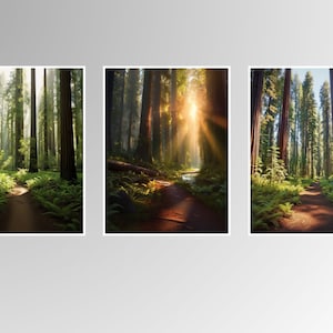 Redwood Forest Landscape Wall Art, Printable Wall Art for Home Décor, Nature Inspired Artwork