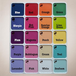 Op de afbeelding: Een kleurenpalet met 16 vierkante kleurstalen in een raster, elk gelabeld met een andere kleurnaam. Kleuren zijn onder meer blauw, rood, oranje, groen, paars, roze en meer. De stalen zijn gerangschikt in een witte tray.