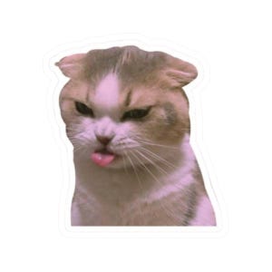 Cute Cat Kiss-Cut Stickers, Fun Pet Decor, Laptop Stickers, Gift for Cat Lovers, Whimsical Animal Accessories