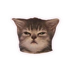 Grumpy Cat Kiss-Cut Stickers | Funny Cat Stickers, Cute Cat Decals, Laptop Stickers, Gift for Cat Lovers, Memes