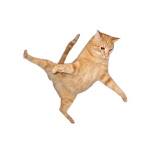 Dancing Cat Kiss-Cut Stickers: Fun Laptop & Journal Decals