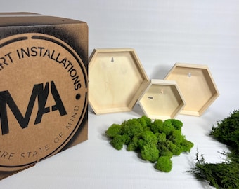 DYI Moss Art Kits