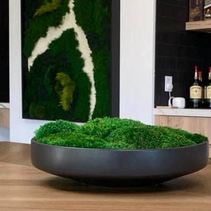 Decorative Trays Black Moss Bowl Moss Gifts for Centerpiece Home Office Decor Custom Unique Gift Decorative Bowl Decor Gifts Valentines Gift