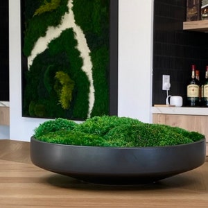  MD MACOMINE DESIGN Moss Bowl, 8 Diameter, Artificial, Ceramic Pedestal Bowl