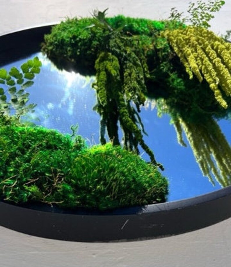Moss Mirror Wall Botanical Mirror Moss Wall Art Mirror Circle