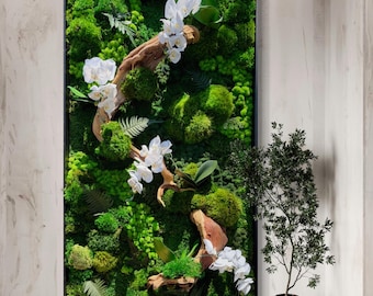 Orchid Bloom Wall Art: Lush Ferns, Faux Orchids, Walnut Frame, Bonsai tree, Preserved Moss Art