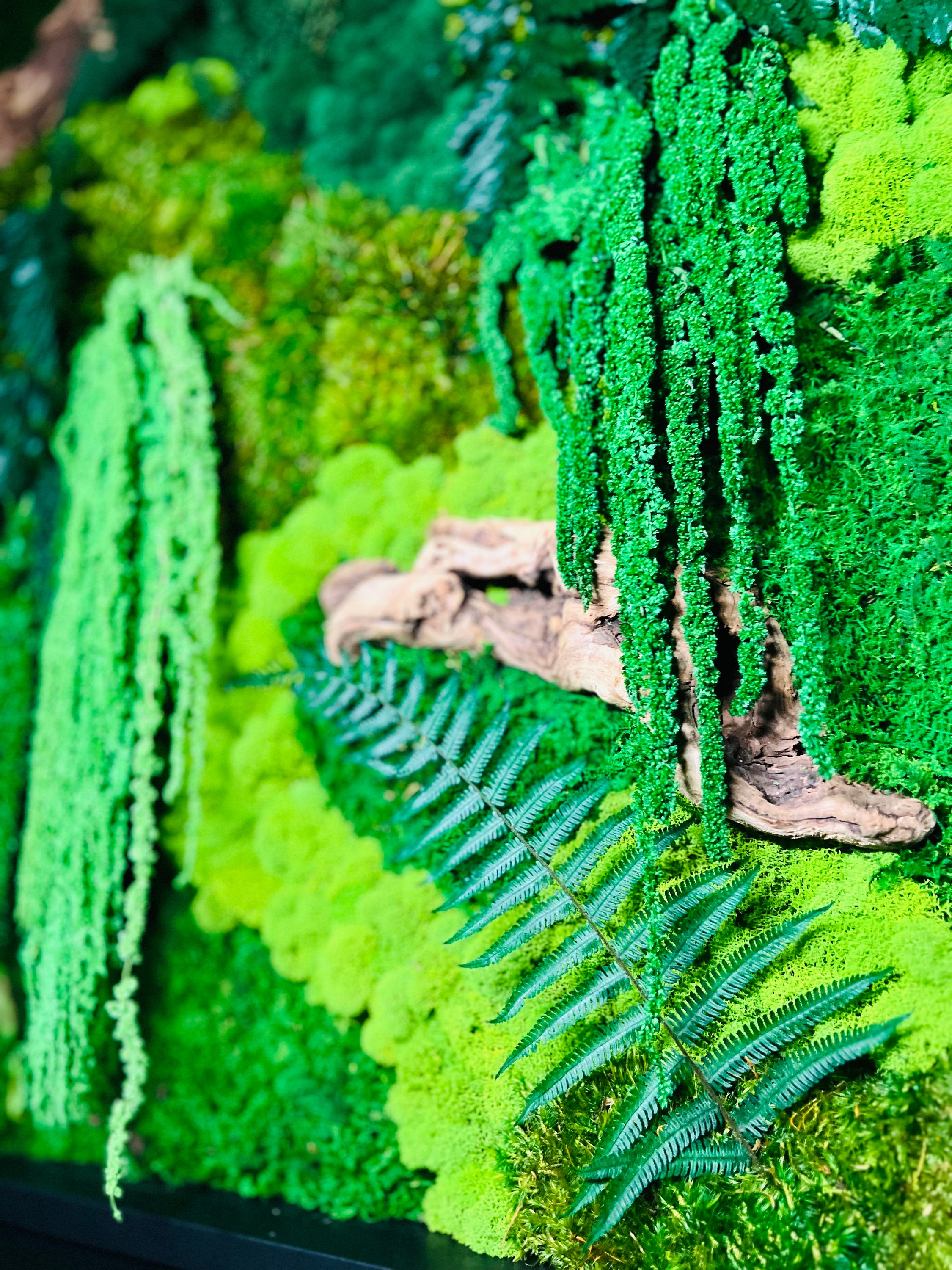 Entweg - Preserved Moss,Preserved Moss Wall Decor Real Preserved