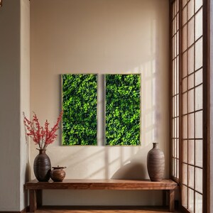 Reindeer Moss Wall Art: Framed Botanical Decor