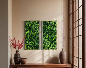 May include: Two framed green plant wall art pieces hang on a beige wall above a wooden bench. A vase with red flowers and a small ceramic pot are on the bench. The wall is illuminated by sunlight streaming through a window.