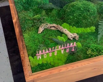 Handcrafted Moss Art Coffee Table: Black Walnut Wood & Tempered Glass