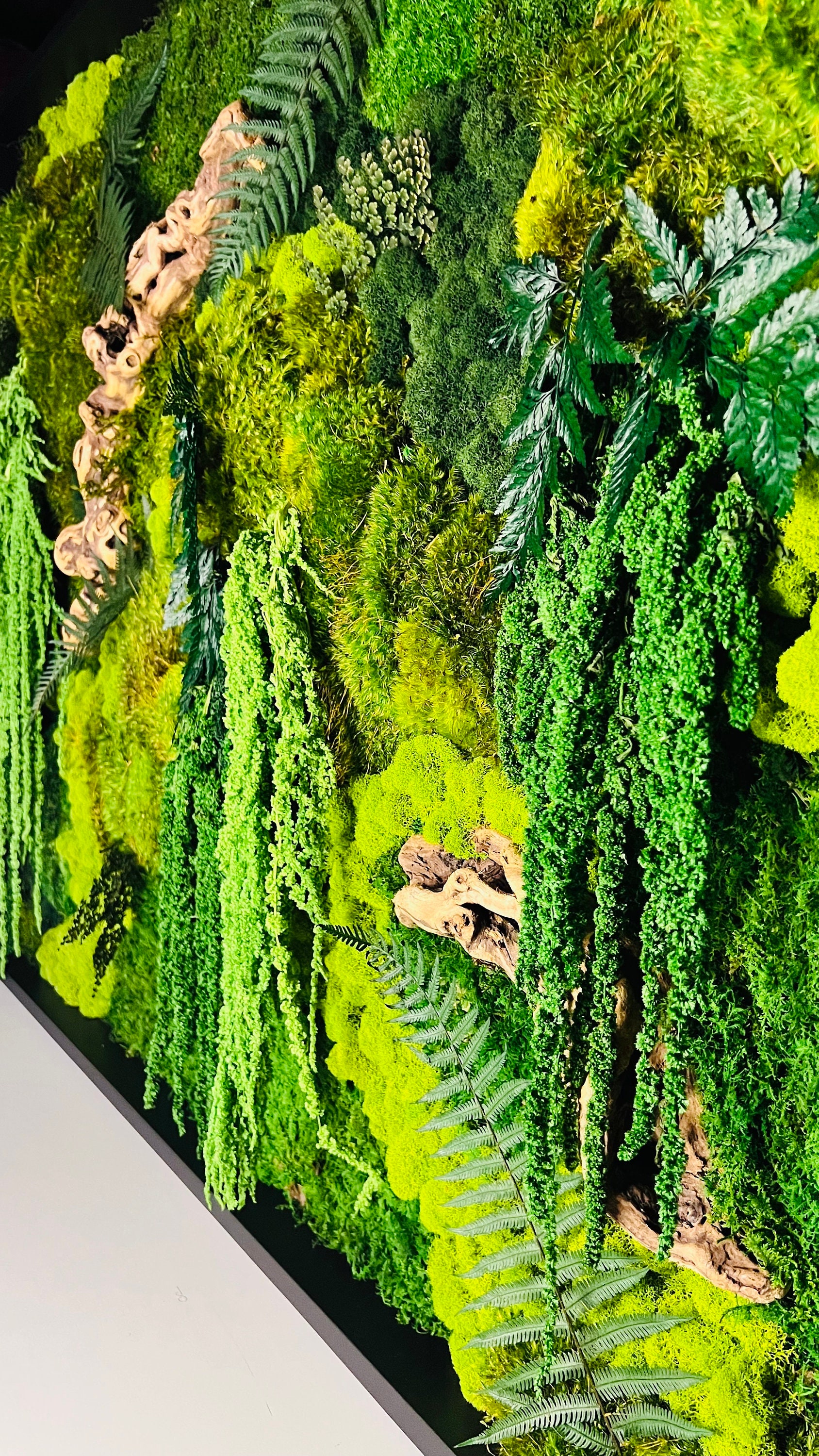 Moss Wall 24 Square - $249.00 : Forever Green Art, Preserved