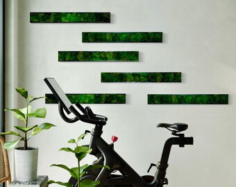 Preserved Pillow Moss Wall Panel: Green Wall Art