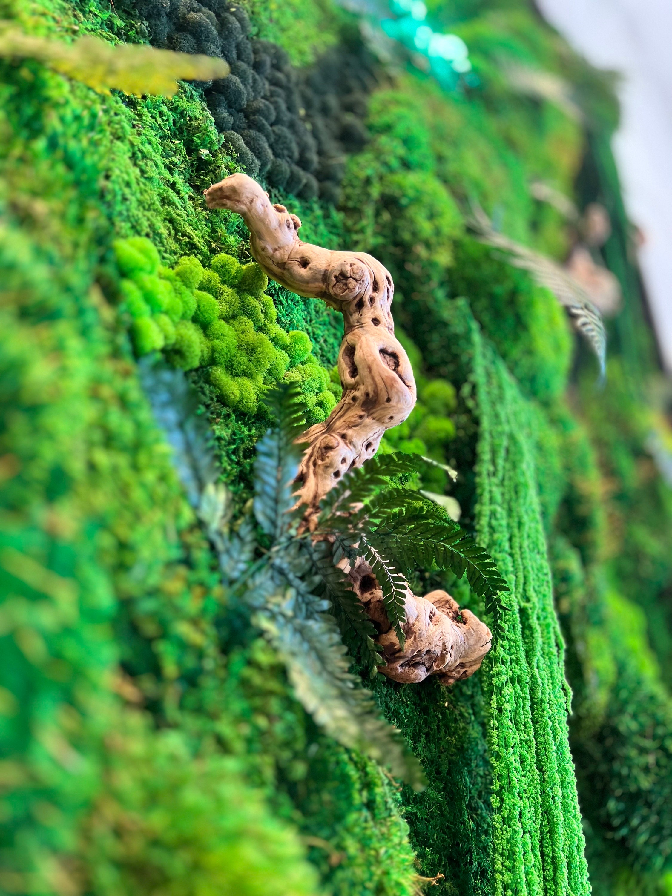 Unexplored Moss Forest  Premium Handmade Wall Sculptures
