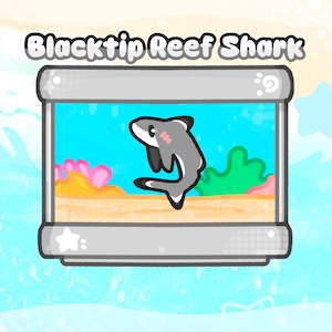 May include: A cartoon illustration of a Blacktip Reef Shark in a rectangular aquarium. The shark is gray with black-tipped fins and a pink blush. The aquarium has a blue background with coral and plants.