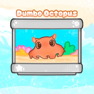 May include: A cartoon illustration of a Dumbo Octopus in a rectangular aquarium. The octopus is orange with large brown eyes. The aquarium has a blue background with coral and plants. The words "Dumbo Octopus" are written above the aquarium.