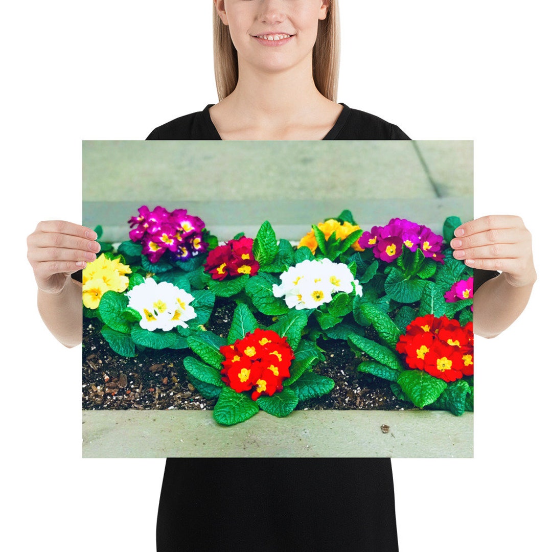 Flowers on a Wall, Gifts for Kids, Gifts for Husband, Housewarming Gifts, Personalized Gifts