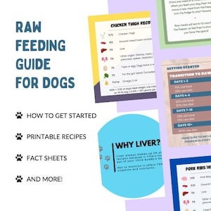Handleiding voor rauwe voeding voor honden - afdrukbare recepten, informatiebladen en meer!