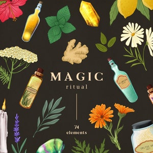 Pode incluir: Uma cole&ccedil;&atilde;o de 74 elementos de ritual m&aacute;gico, incluindo cristais, ervas, flores, velas e garrafas de &oacute;leos essenciais. O texto "MAGIC ritual" est&aacute; escrito no centro da imagem.
