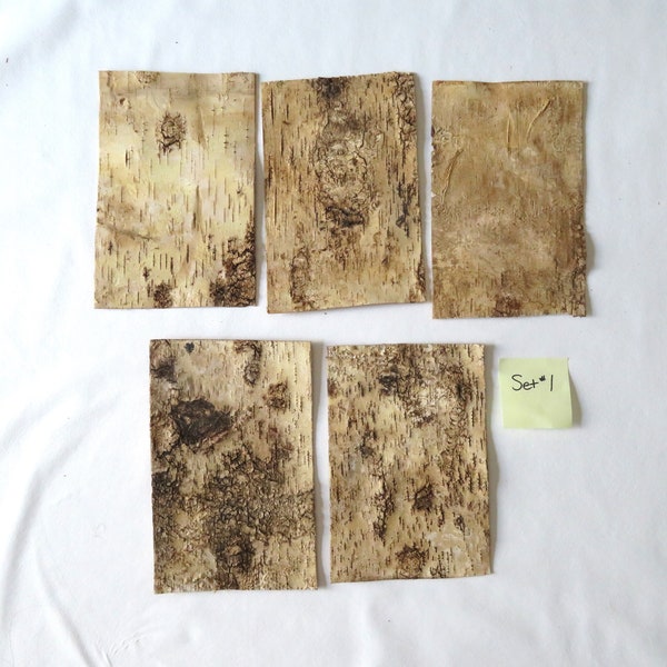 Set of 5 birch bark sheets with wood layer, 10" x 6.5", natural wood, birch wood, birch for crafting, stiff