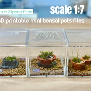 Könnte beinhalten: Drei transparente Plastikboxen mit Deckeln, jede mit einem Miniatur-Bonsai-Baum in einem kleinen Topf. Die Boxen sind in einer Reihe auf einer braunen Oberfläche angeordnet. Der Text "Maßstab 1:7" und "3D-druckbare Mini-Bonsai-Topf-Dateien" ist über den Boxen sichtbar.