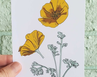 Kalifornischer Mohn Kunstdruck, Sonoran-Wüste Botanische Illustration (4x6 ungerahmt)
