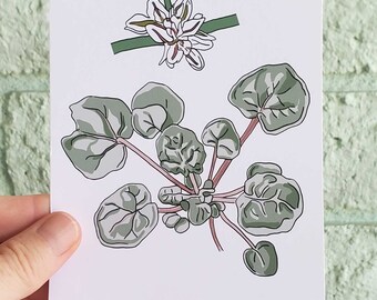 Sonoran-Wüste Kunstdruck, flacher Buchweizen, einheimische Arizona-Pflanze (4x6, ungerahmt)