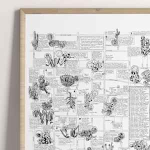 Mapa de pared ilustrado de cactus: mapa de cactus de Phoenix, mapa de pared botánico, mapa de pared ilustrado, mapa de pared de Arizona sin marco