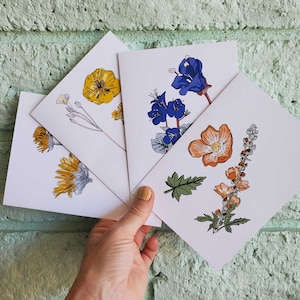 Wüstenblumen-Grußkarten, 4 Stück – botanische Illustrationen einheimischer Blumen aus dem Südwesten