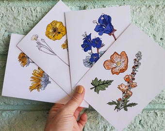 Wüstenblumen-Grußkarten, 4 Stück – botanische Illustrationen einheimischer Blumen aus dem Südwesten