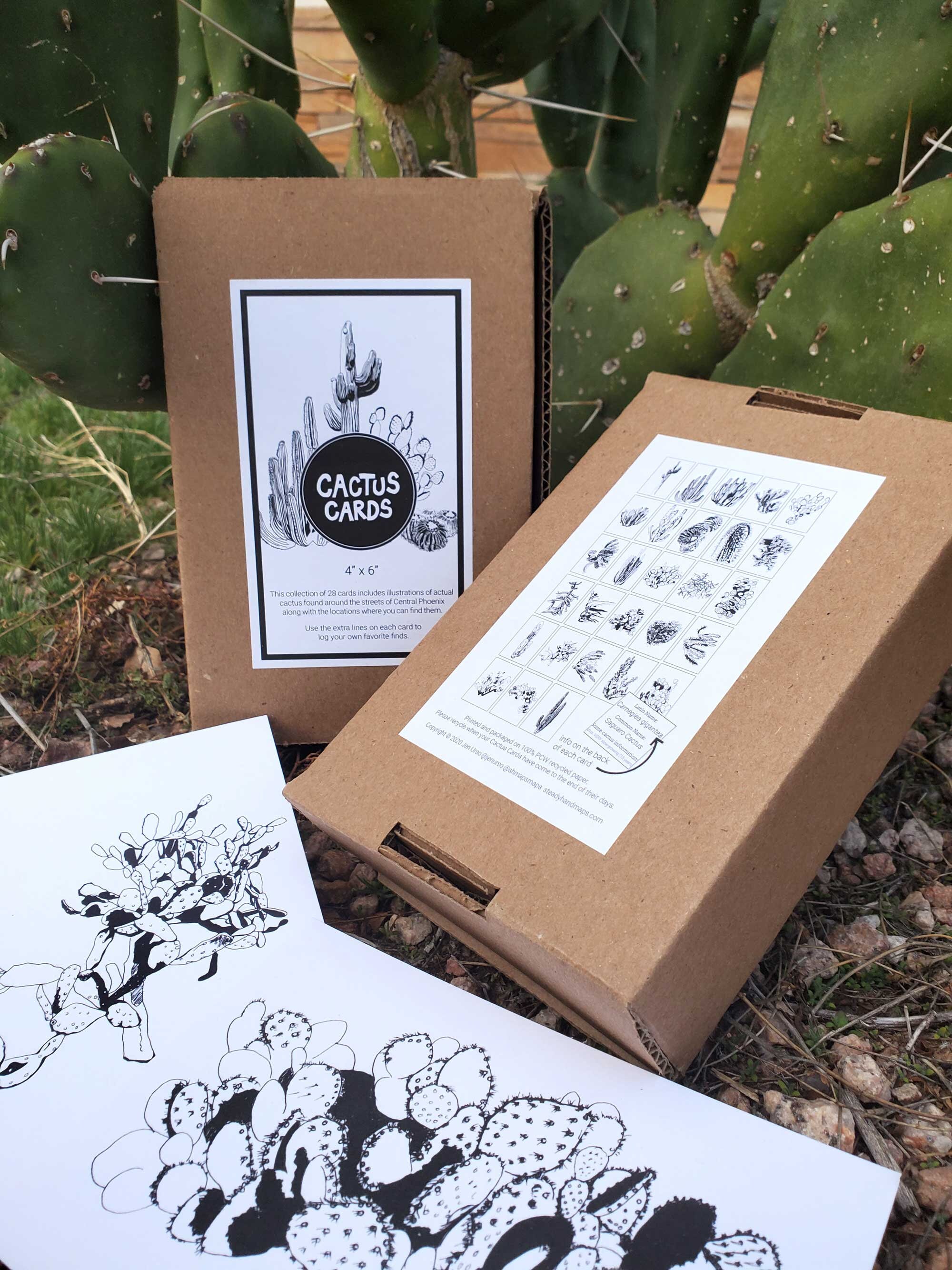 Botanical Cactus Illustrations - Cactus Cards Deck of 28