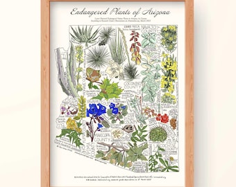 Endangered Arizona Plants Print - Botanische Karte der Sonoran-Wüste (8.5x11)