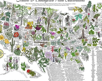 US Native & Endangered Plant Map - Botanical Map - 13x19, 19x27