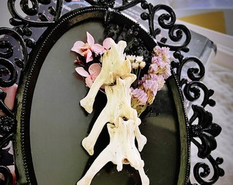 Red Fox Vertebrae Floral Frame