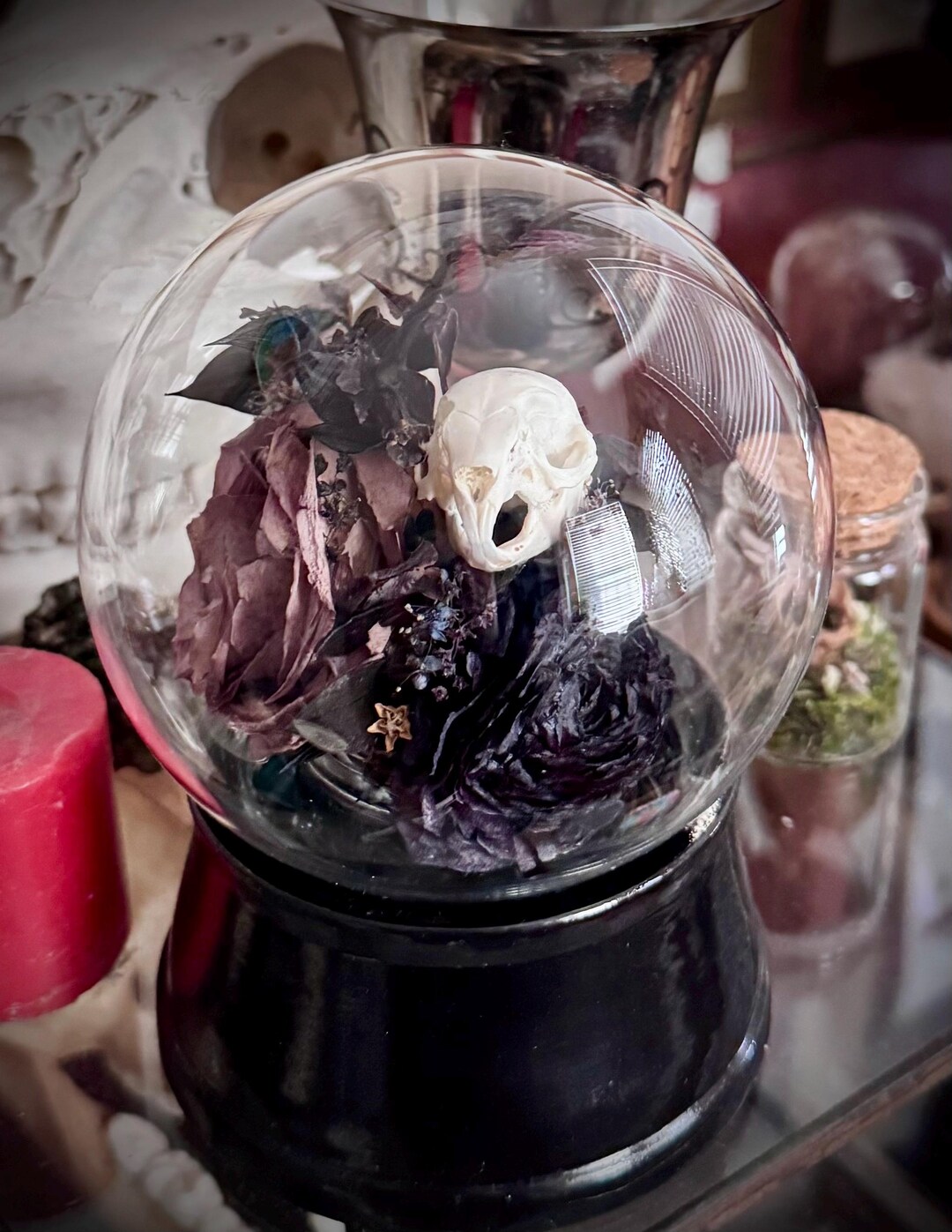 Stillborn Rabbit Skull Dark Floral Globe Display - Etsy