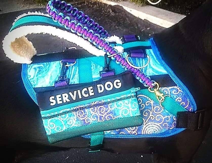 pet grooming petsmart prices