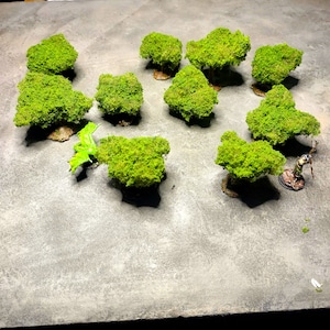 Puede incluir: Una colección de nueve árboles en miniatura verdes con un lagarto de plástico verde sobre una superficie gris.