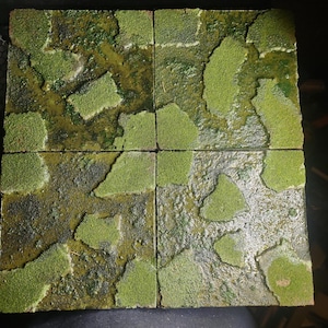 swamp tiles modular terrain